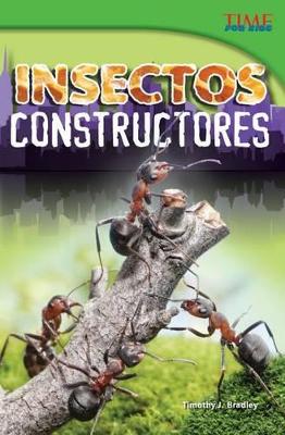 Book cover for Insectos constructores (Bug Builders) (Spanish Version)