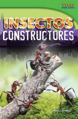 Book cover for Insectos constructores