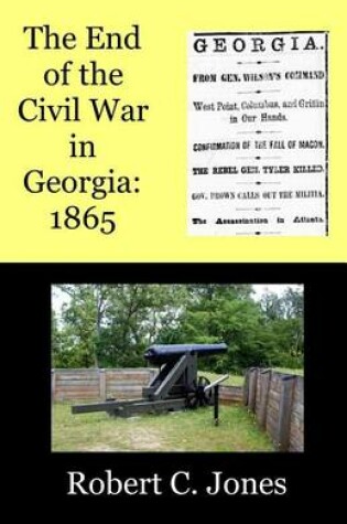 Cover of The End of the Civil War in Georgia