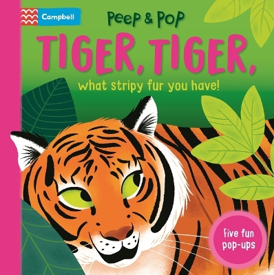 Book cover for Tiger, Tiger, What Stripy Fur You Have!