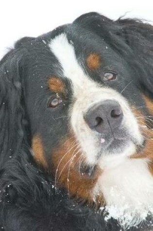 Cover of Cool Bernese Mountain Dog in the Snow Journal