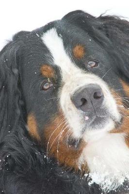 Book cover for Cool Bernese Mountain Dog in the Snow Journal