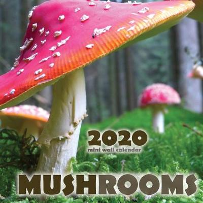 Book cover for Mushrooms 2020 Mini Wall Calendar