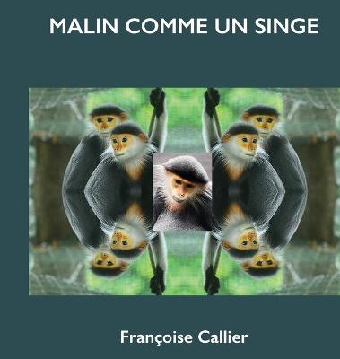 Book cover for Malin Comme Un Singe