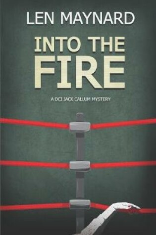 Cover of Into the Fire