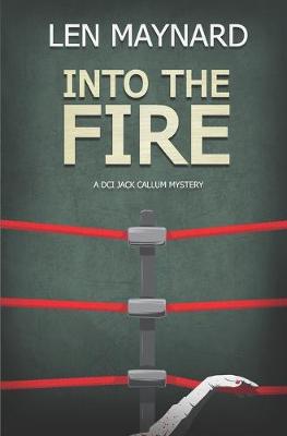 Book cover for Into the Fire