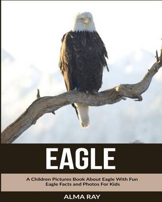 Book cover for Eagle