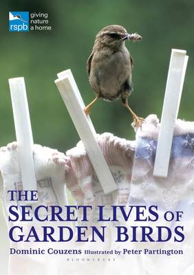 Book cover for The Secret Lives of Garden Birds