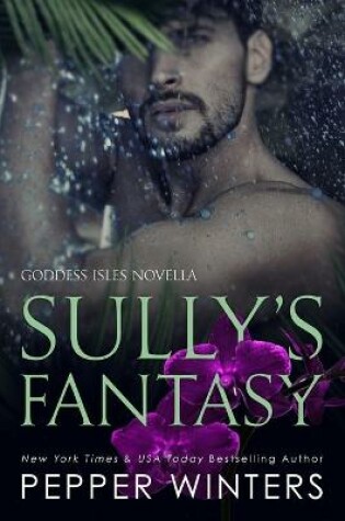 Cover of Sully's Fantasy