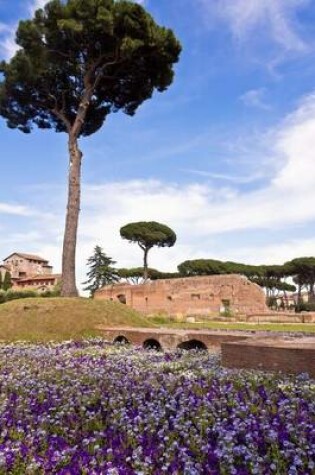 Cover of Umbrella Pine Trees on Palatine Hill, Rome, Italy Journal