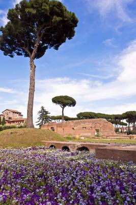 Book cover for Umbrella Pine Trees on Palatine Hill, Rome, Italy Journal