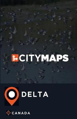 Book cover for City Maps Delta Canada