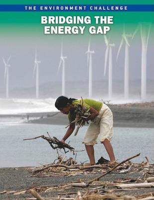 Book cover for Bridging the Energy Gap