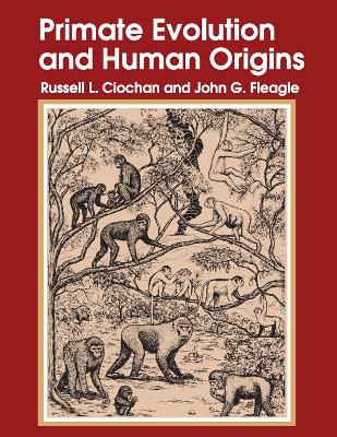 Book cover for Primate Evolution and Human Origins