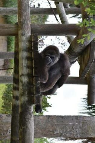 Cover of A Gorilla Napping Up High