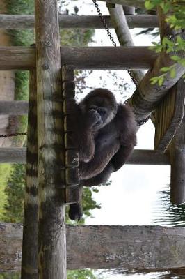 Book cover for A Gorilla Napping Up High