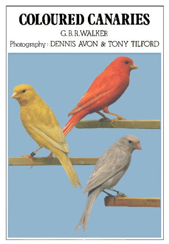 Book cover for Coloured Canaries