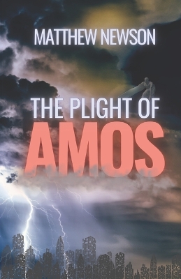 Book cover for The Plight of Amos