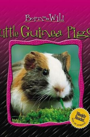 Cover of Little Guinea Pigs