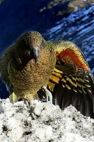 Cover of Kea Parrot in New Zealand, Birds of the World