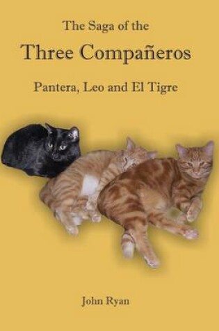 Cover of The Saga of the Three Companeros