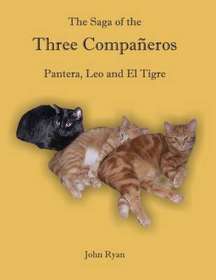 Book cover for The Saga of the Three Companeros