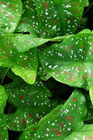 Cover of Caladium Plant, for the Love of Nature