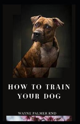 Book cover for How to Train Your Dog