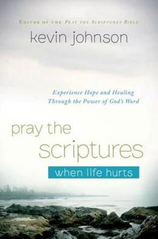 Cover of Pray the Scriptures When Life Hurts