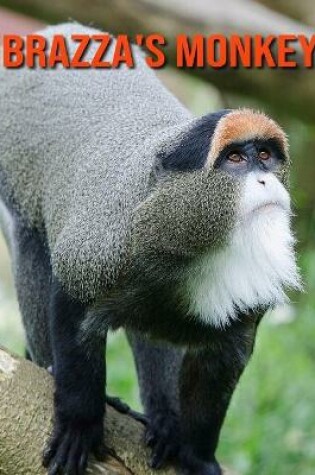 Cover of Brazza's Monkey