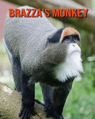 Book cover for Brazza's Monkey