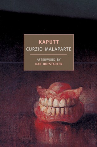 Cover of Kaputt