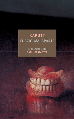 Book cover for Kaputt