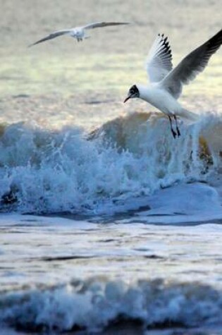 Cover of Seagulls at the Seashore Journal