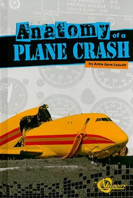 Cover of Anatomy of a Plane Crash