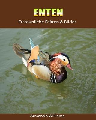 Book cover for Enten