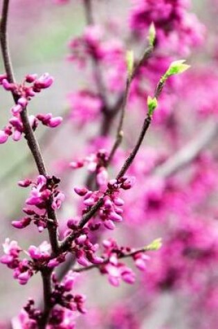 Cover of Touch of Spring - Lined Notebook with Margins