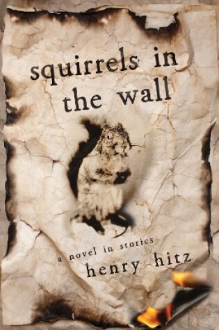 Cover of Squirrels in the Wall