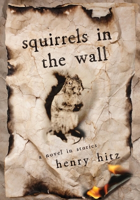 Book cover for Squirrelsin the Wall