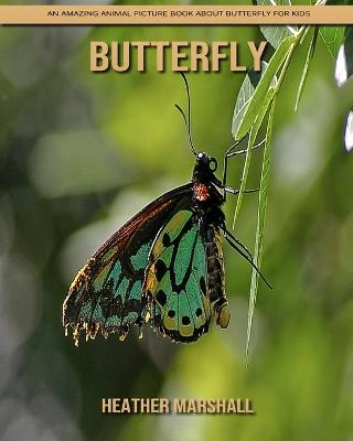 Book cover for Butterfly