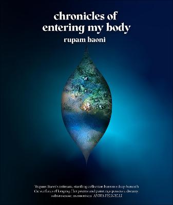 Cover of Chronicles of Entering My Body