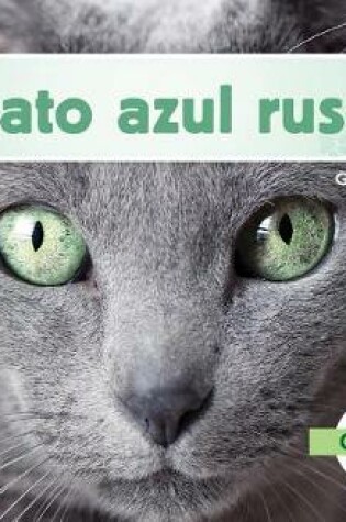 Cover of Gato Azul Ruso (Russian Blue Cats) (Spanish Version)