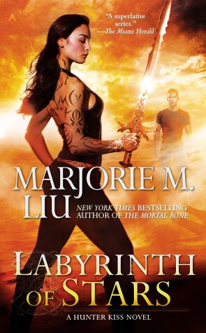 Cover of Labyrinth of Stars