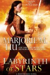 Book cover for Labyrinth of Stars