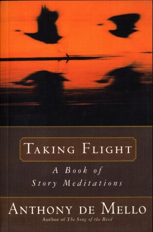 Book cover for Taking Flight