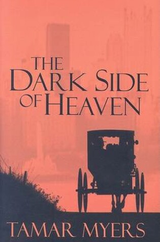 Cover of The Dark Side of Heaven