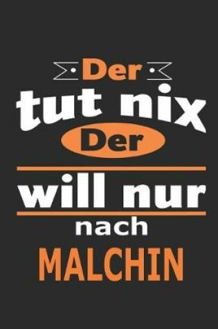 Cover of Der tut nix Der will nur nach Malchin