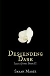 Book cover for Descending Dark