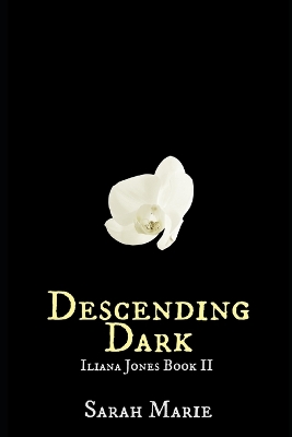 Cover of Descending Dark