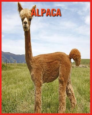 Book cover for Alpaca
